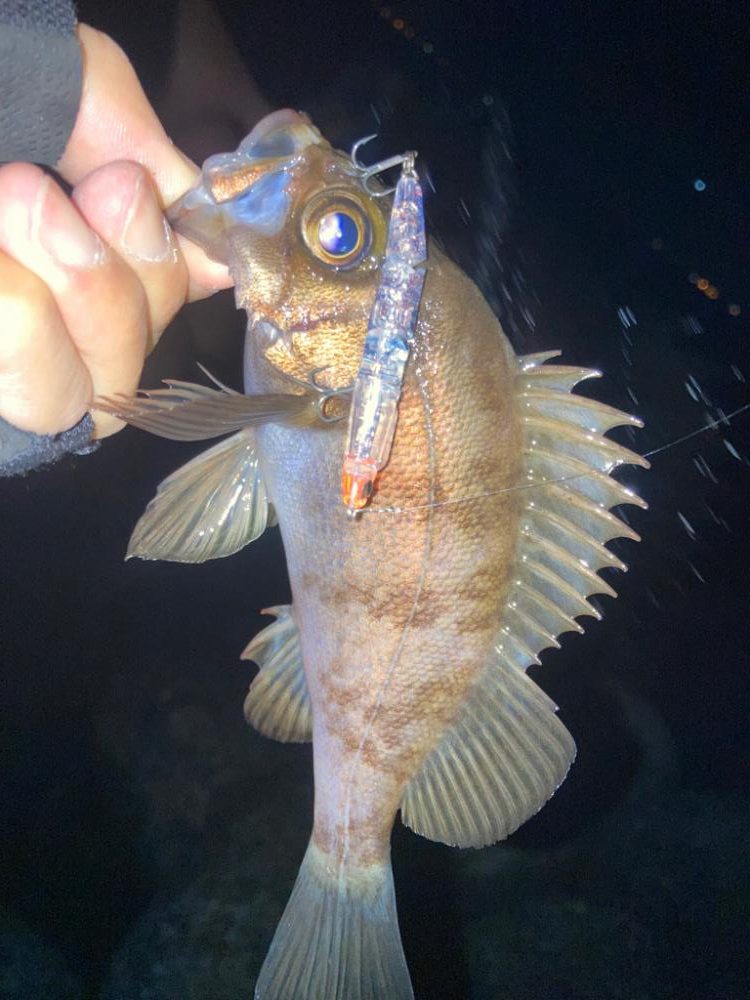 2022ライトゲーム第10戦