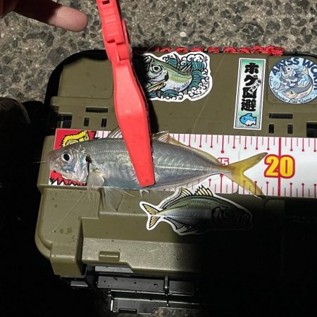 久しぶりの釣り場で