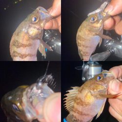 メインラインを変更してみた！