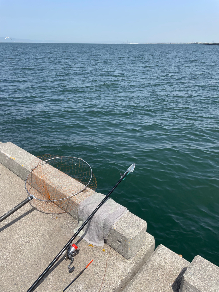 足元フカセで、のっこみチヌ！