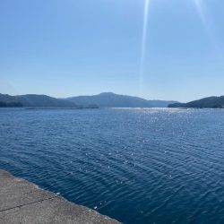 エソ先輩だと思ったら（笑）