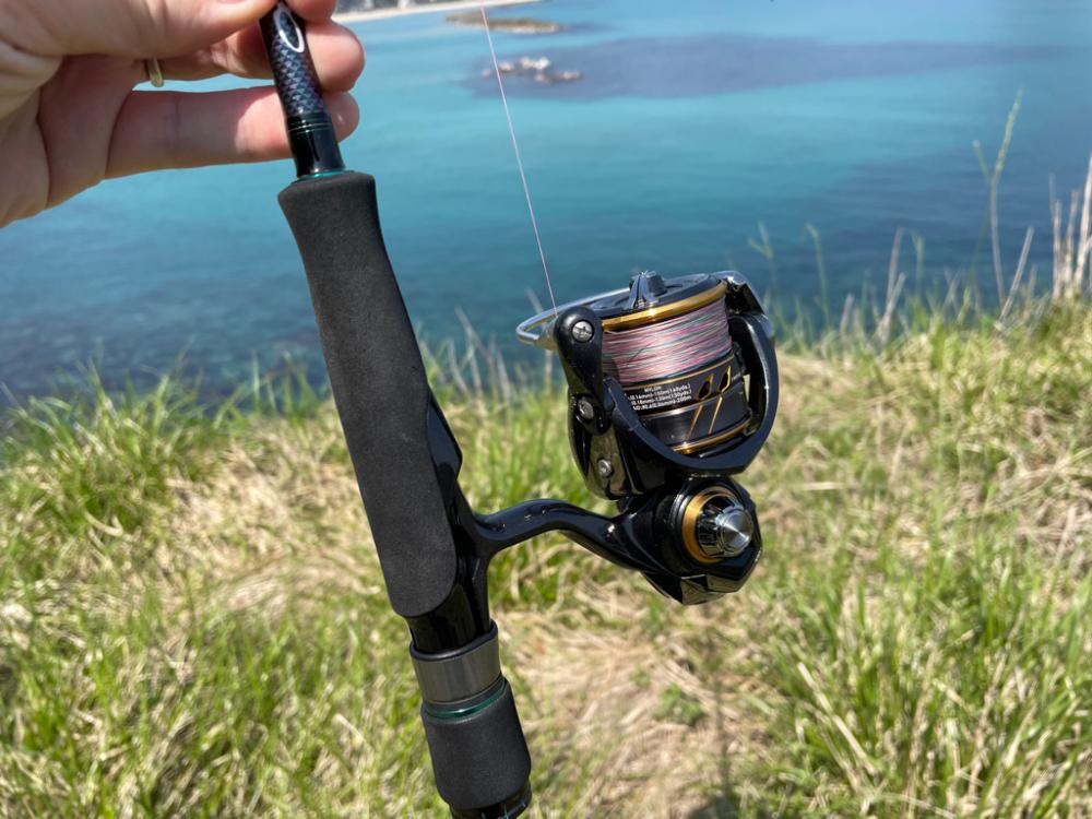 エギングでの嬉しいゲスト (リリース)