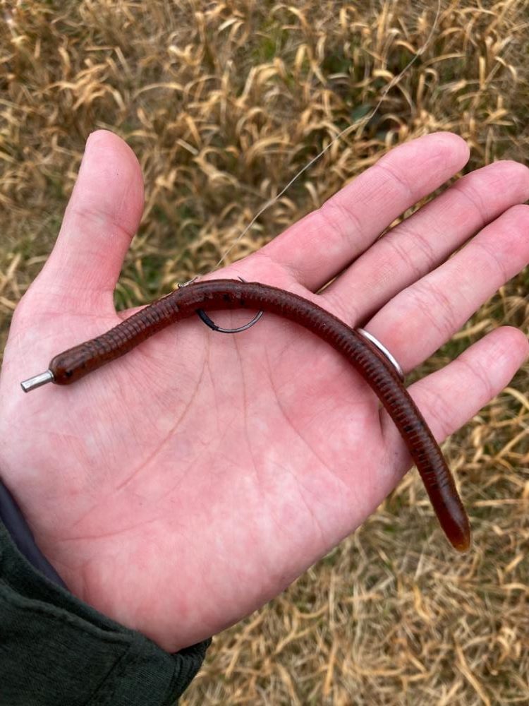 初バスは50up！！