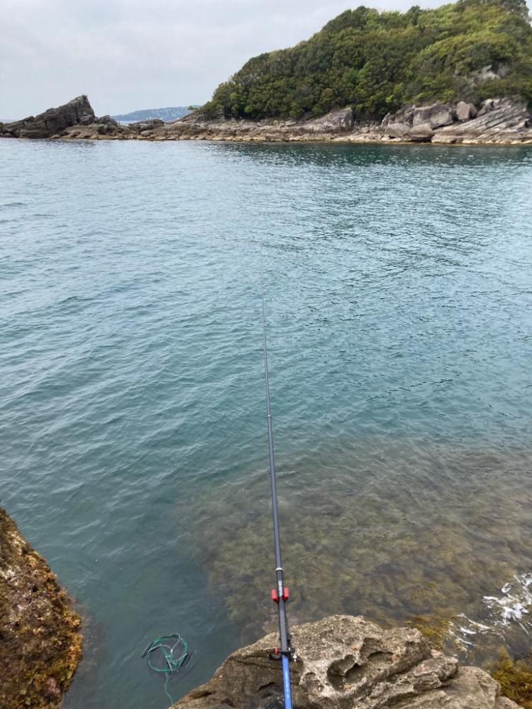 春アオリ狙いのはずが、天敵サメでした。