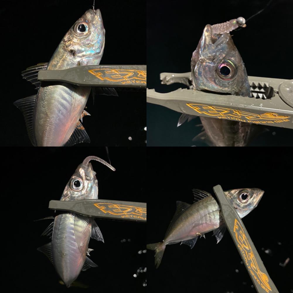 固定観念はダメですね。