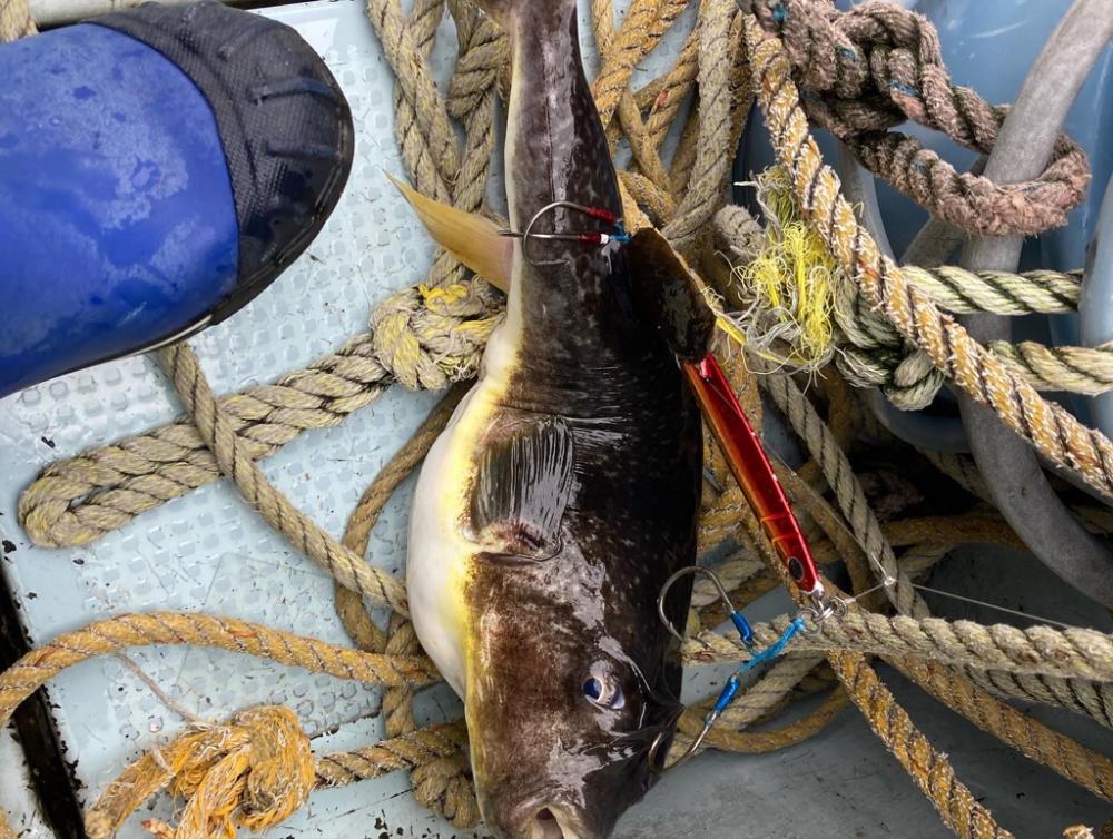 日本海丹後ジギング筋トレ