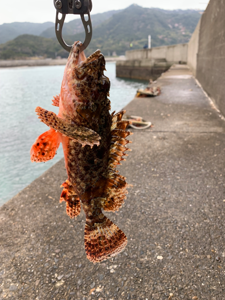 キス諦め穴釣り