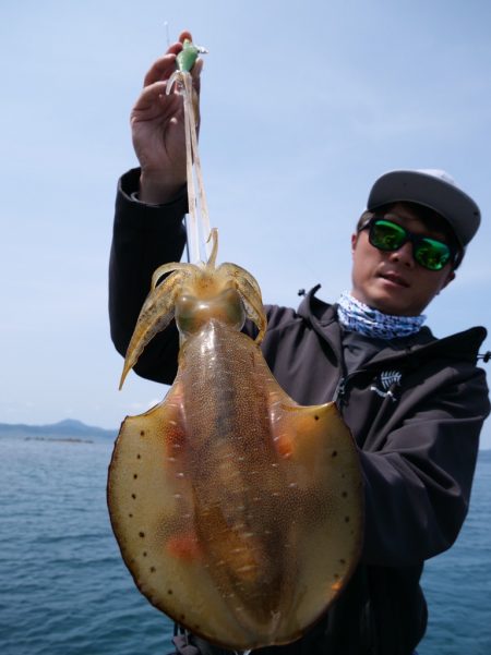 【ボートエギング】スクイッドジャンキー・ライブリーダートで、シーズン初期の気難しい春イカが爆釣‼︎