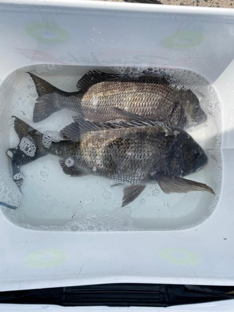 ネバーギブアップ⁉️