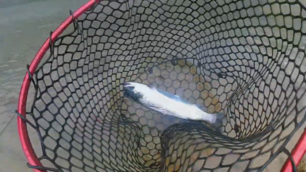 初フィッシングレイク高宮！