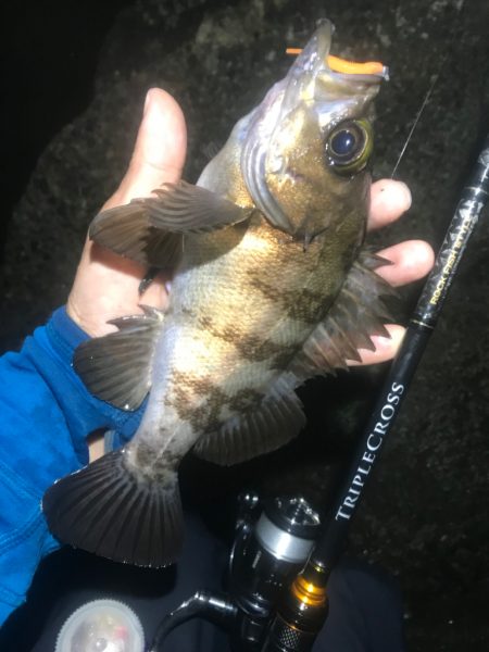 久しぶりの良い釣りでした