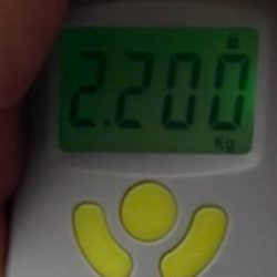 アオリイカ2キロ捕獲