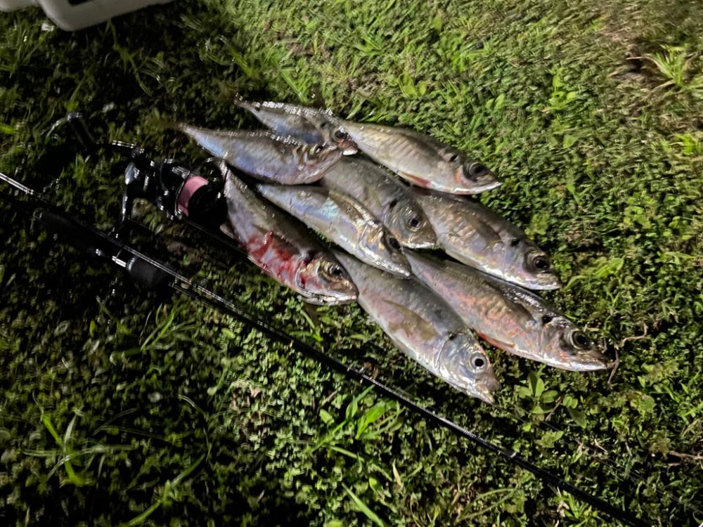 ジグ単deアジング！先週の反撃✌︎(‘ω’)✌︎