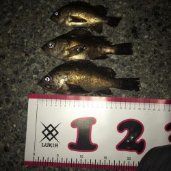 淡路島丸山漁港