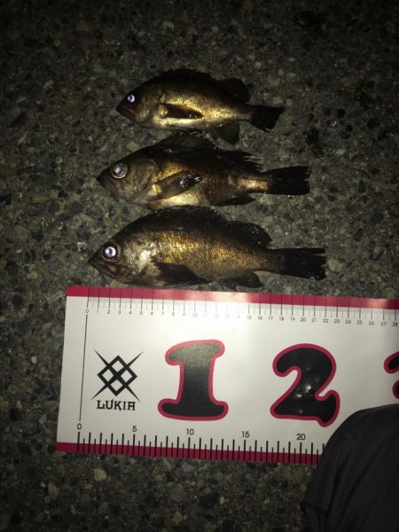 淡路島丸山漁港