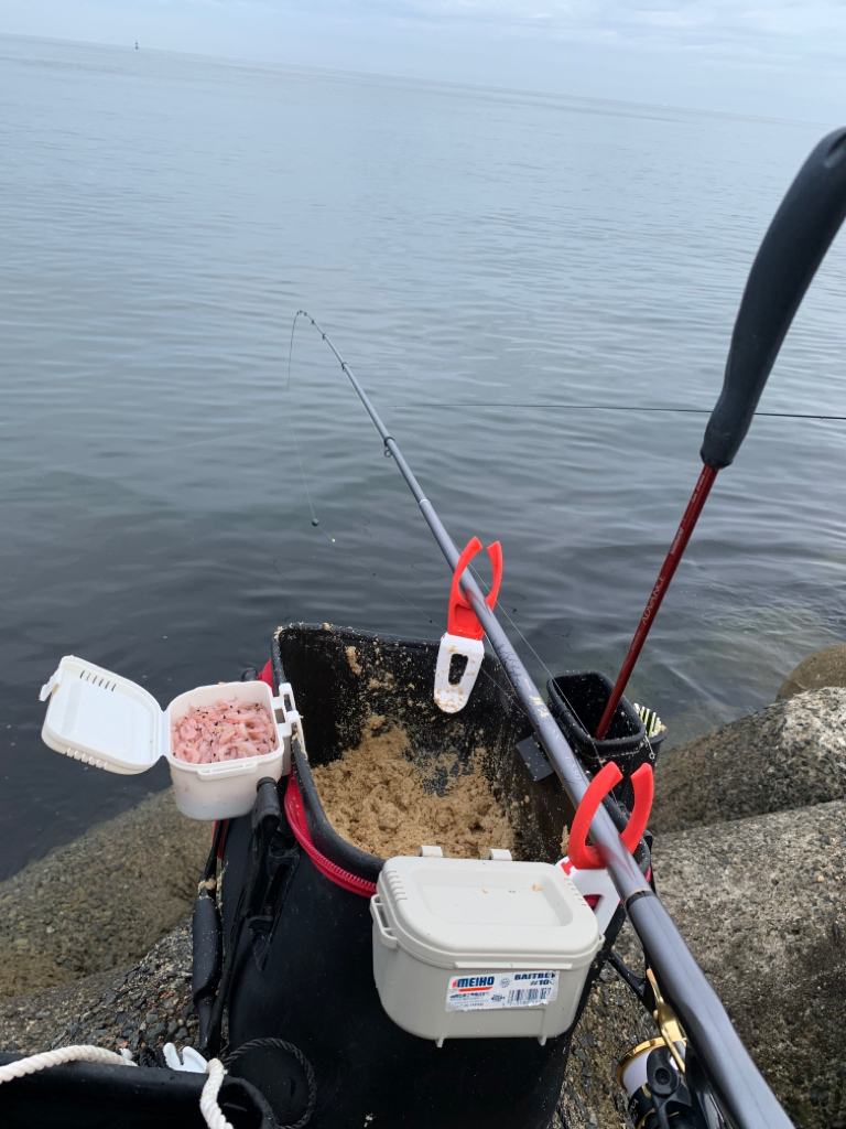 今期初波止グレ