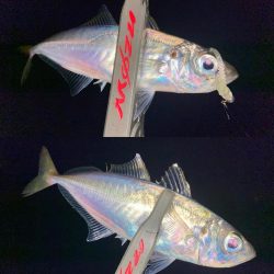 久々のホームグラウンドわ