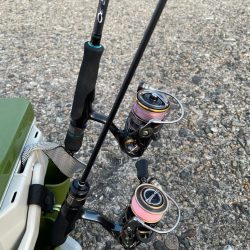 春が来たのでメバリング