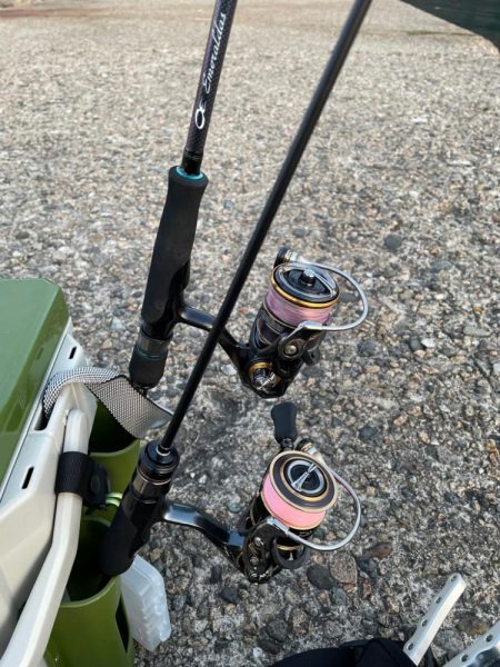 春が来たのでメバリング