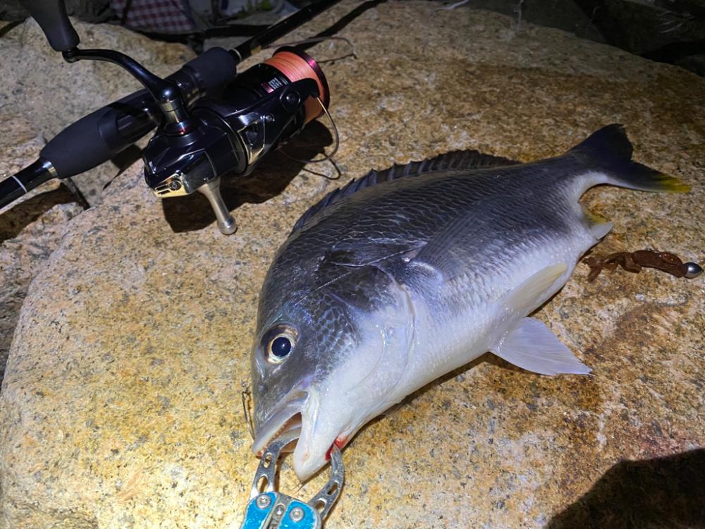 淀川ブリームゲーム