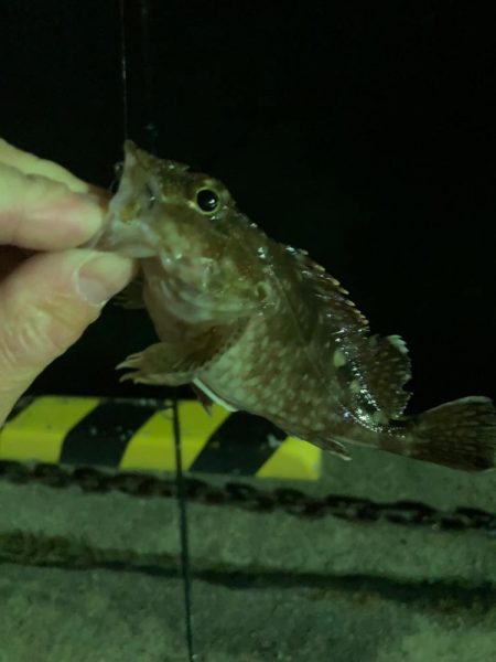 初浜田ライトゲーム！