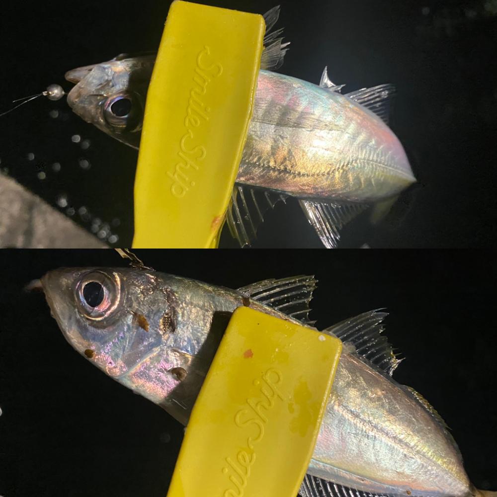 ポイントに合った釣り方