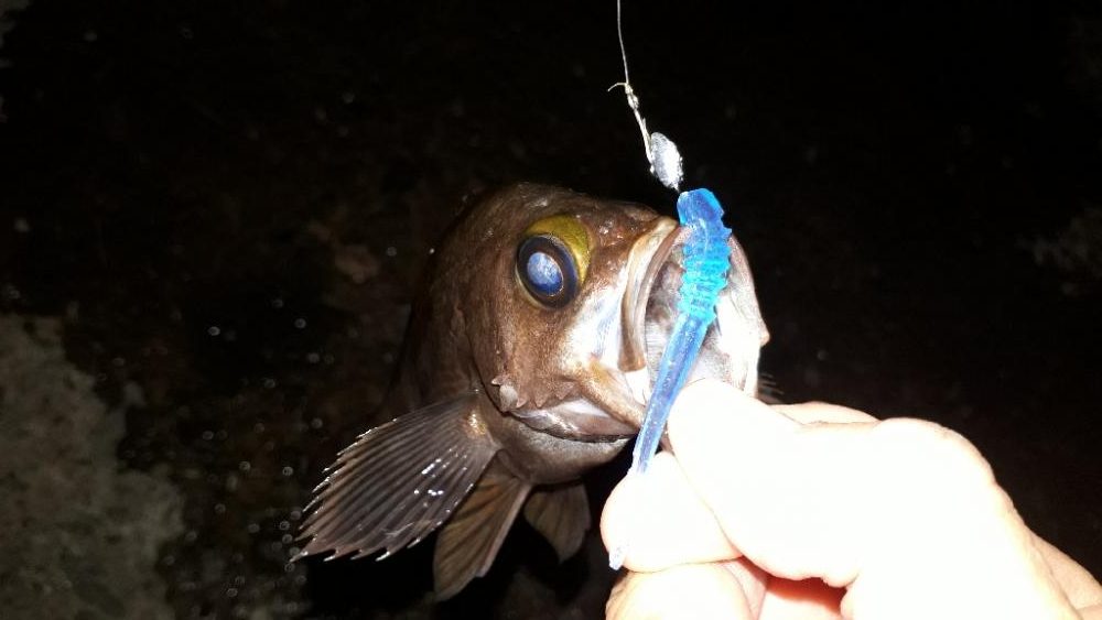 淡路島をランガンルアー