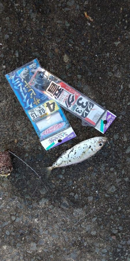 のんびり陸釣行