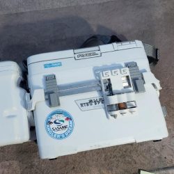 今年初のキス釣り