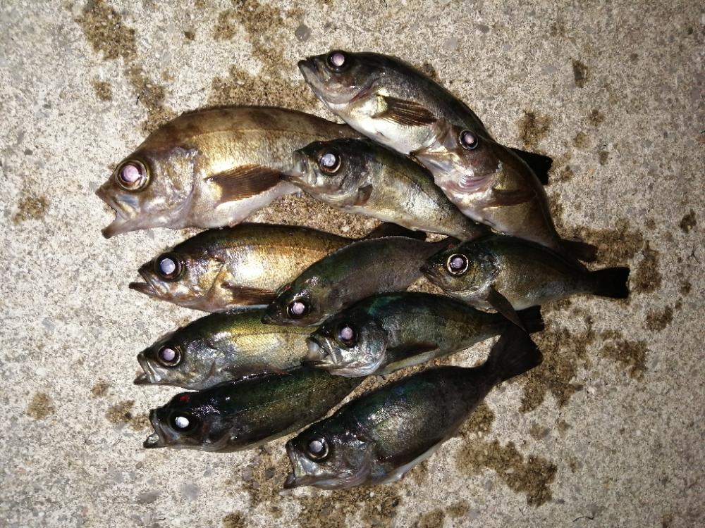 外道もちらほら