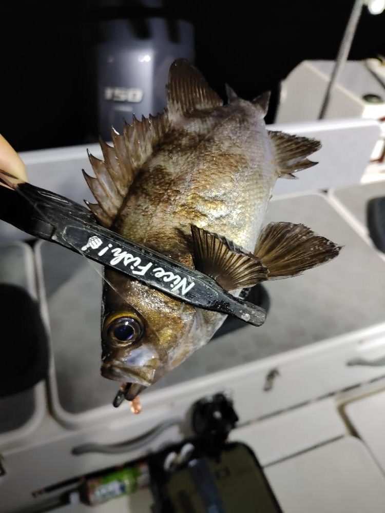 ボートメバリング@神戸