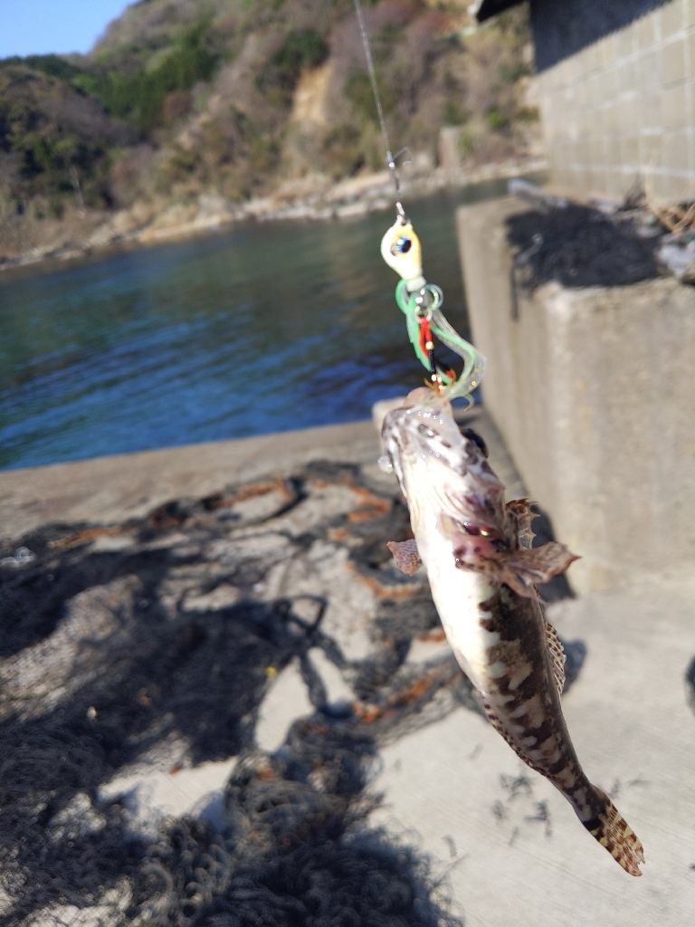 週末のオカッパリ調査