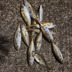 結局いつもの···