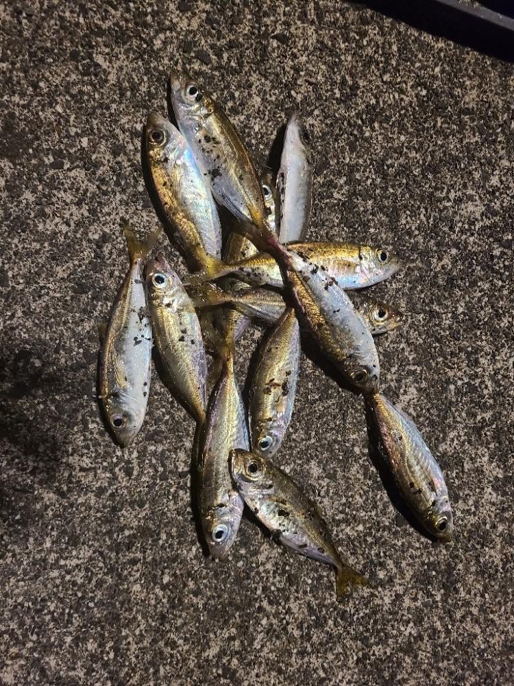 結局いつもの···