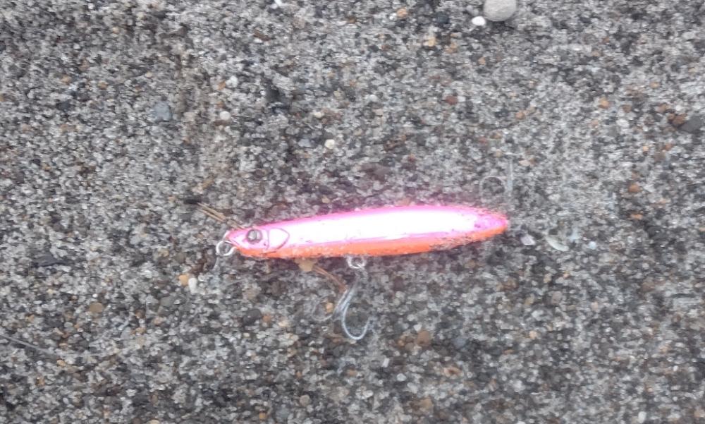 サーフでイトヒキアジ