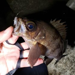 明るくなる前に