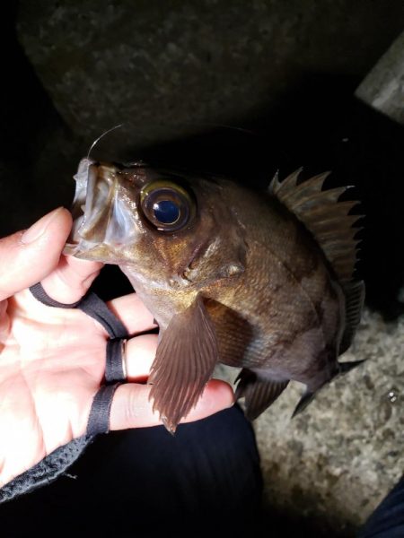 明るくなる前に