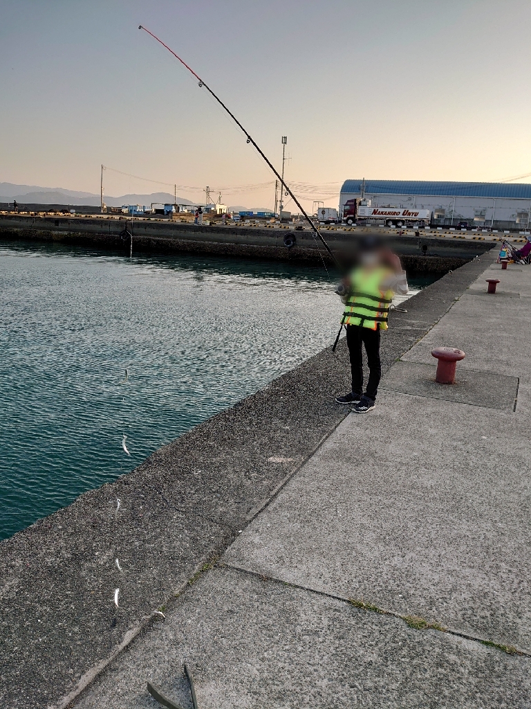 ファミリーフィッシング