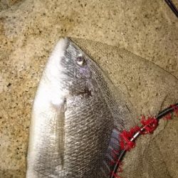 今日は時間がかかった