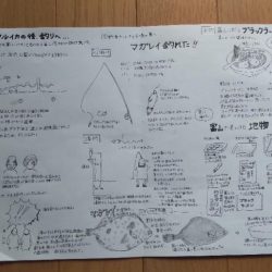 イカでカレイを釣る