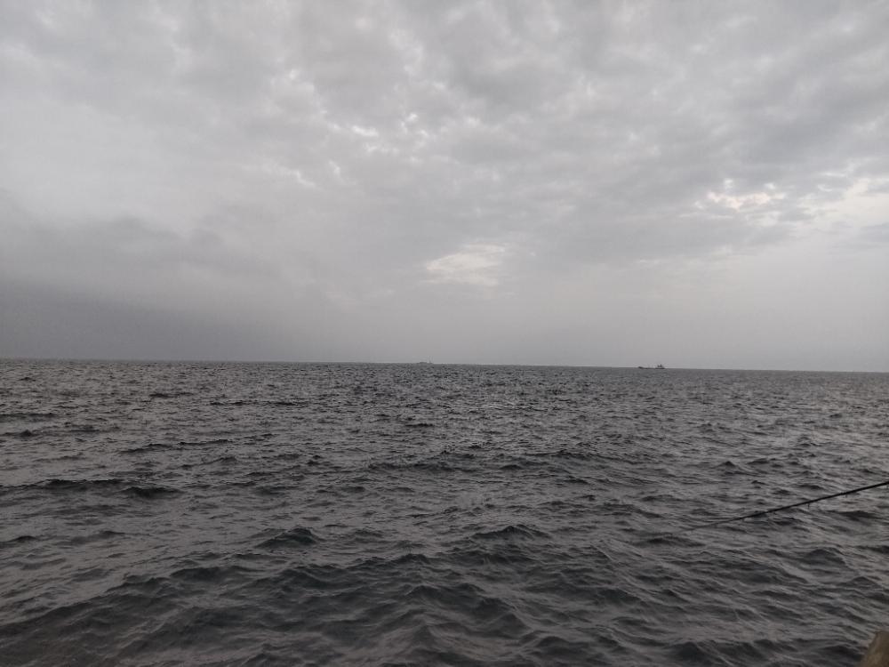 ショアプラッキング