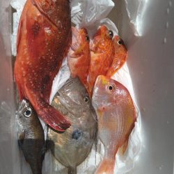 渋い中ボウズは回避