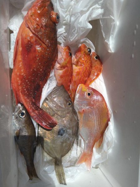 渋い中ボウズは回避