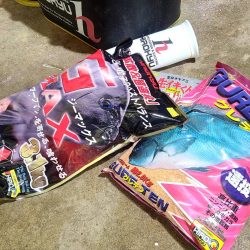 和歌山大引の磯でフカセ釣り