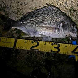 レバーブレーキルアーフィッシング②