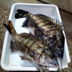 フカセDay⑤日射しに注意を(笑)