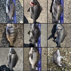 イチノ兄弟、釣果!