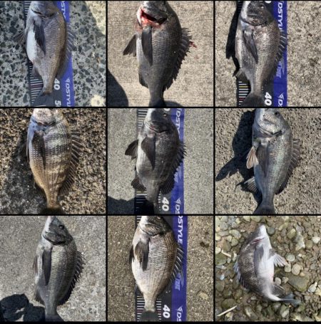 イチノ兄弟、釣果!