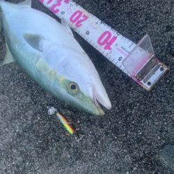 春の遠州灘でマキマキ大活躍！