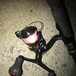 朝マズメのメバリング調査